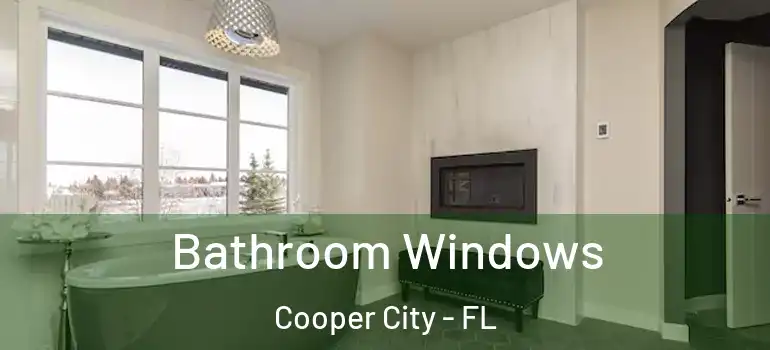  Bathroom Windows Cooper City - FL