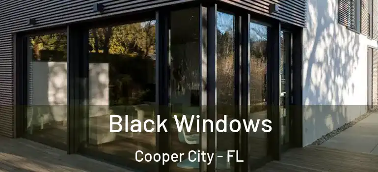  Black Windows Cooper City - FL