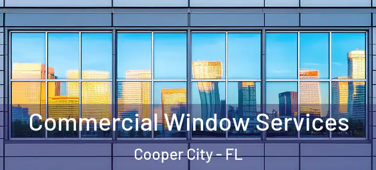  Commercial Window Services Cooper City - FL