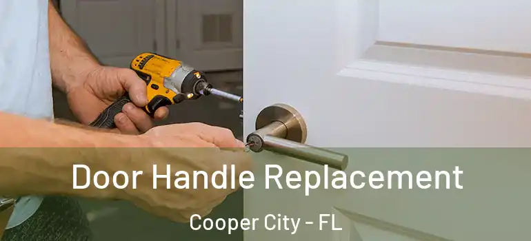  Door Handle Replacement Cooper City - FL