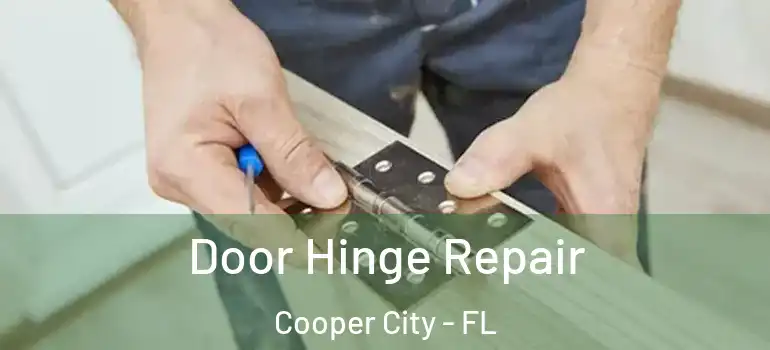  Door Hinge Repair Cooper City - FL