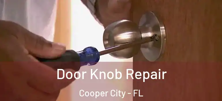  Door Knob Repair Cooper City - FL