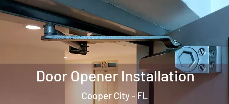  Door Opener Installation Cooper City - FL