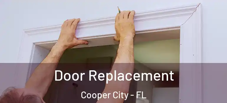  Door Replacement Cooper City - FL