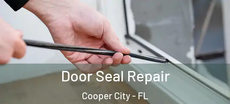  Door Seal Repair Cooper City - FL