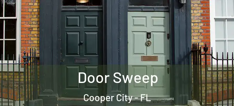 Door Sweep Cooper City - FL