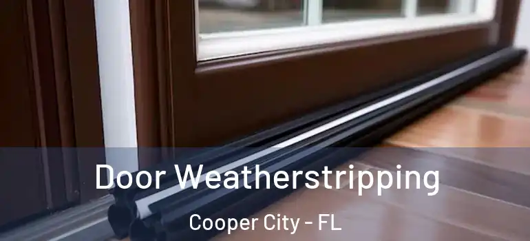  Door Weatherstripping Cooper City - FL