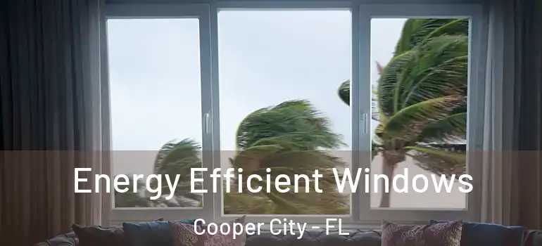  Energy Efficient Windows Cooper City - FL