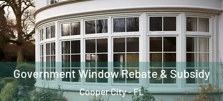  Government Window Rebate & Subsidy Cooper City - FL