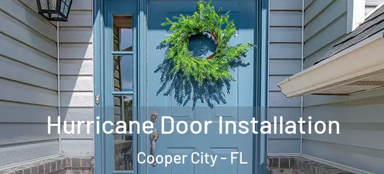  Hurricane Door Installation Cooper City - FL