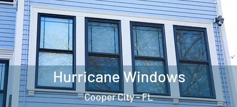  Hurricane Windows Cooper City - FL