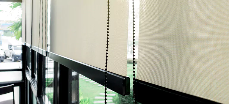 Blackout Window Shades in Cooper City, FL