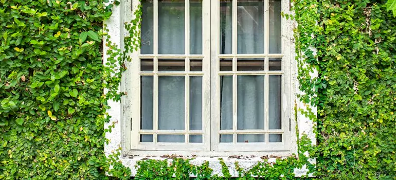 Garden Window Repair Near Me in Cooper City, FL
