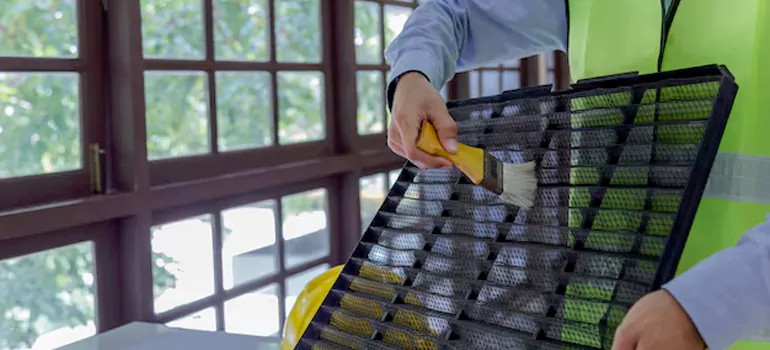Traditional Window Grille Installation Options in Cooper City, FL