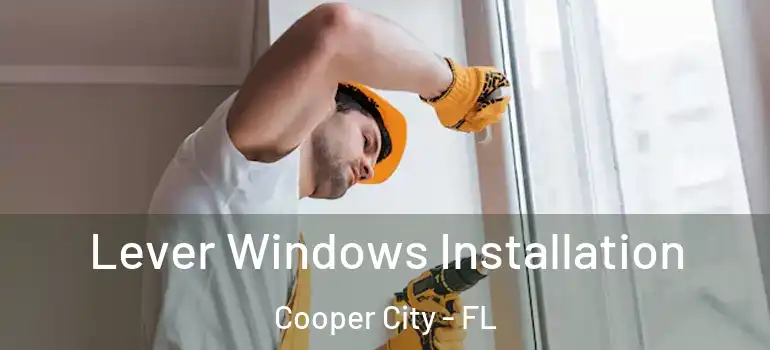  Lever Windows Installation Cooper City - FL