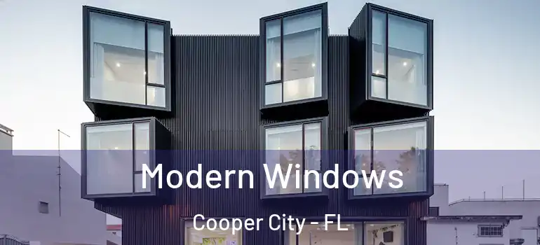  Modern Windows Cooper City - FL