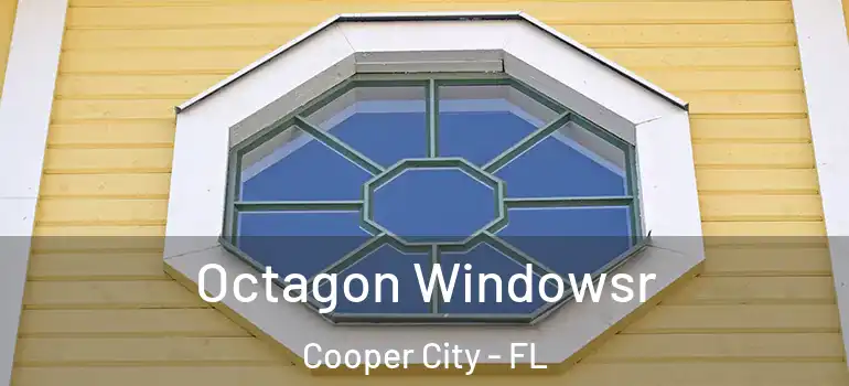  Octagon Windowsr Cooper City - FL
