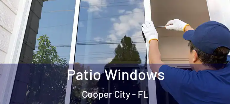  Patio Windows Cooper City - FL