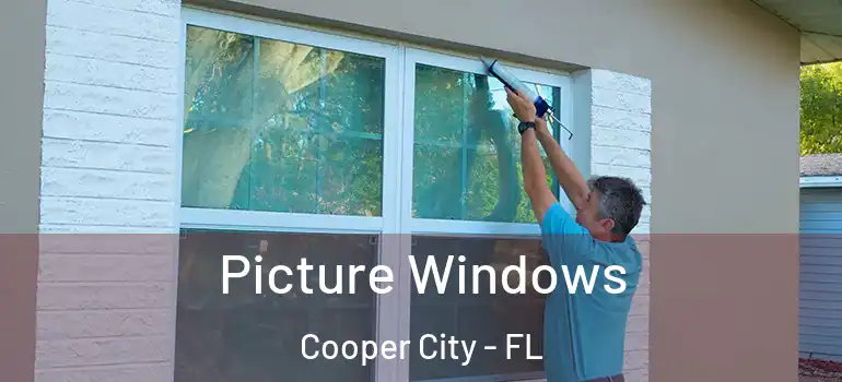  Picture Windows Cooper City - FL