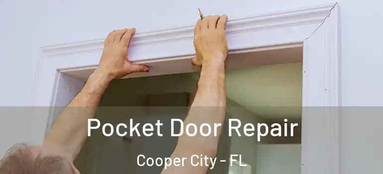  Pocket Door Repair Cooper City - FL