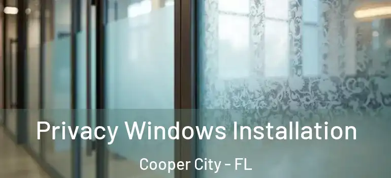  Privacy Windows Installation Cooper City - FL