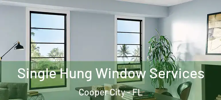  Single Hung Window Services Cooper City - FL