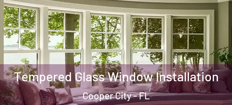  Tempered Glass Window Installation Cooper City - FL