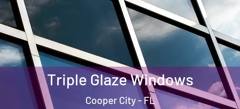  Triple Glaze Windows Cooper City - FL