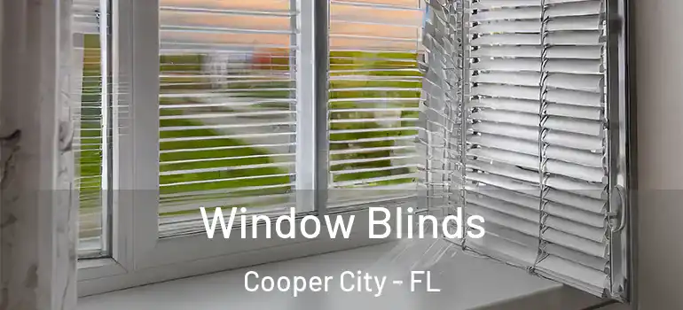  Window Blinds Cooper City - FL