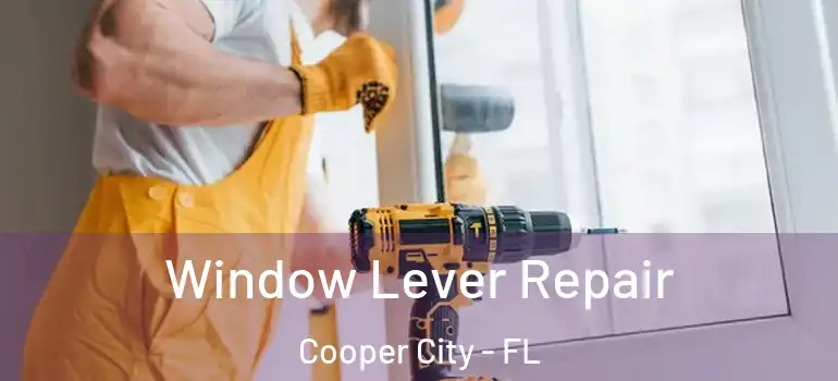  Window Lever Repair Cooper City - FL