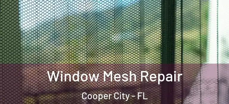  Window Mesh Repair Cooper City - FL