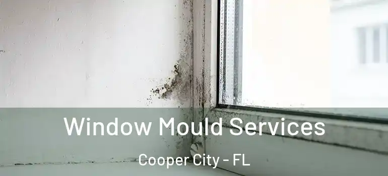  Window Mould Services Cooper City - FL