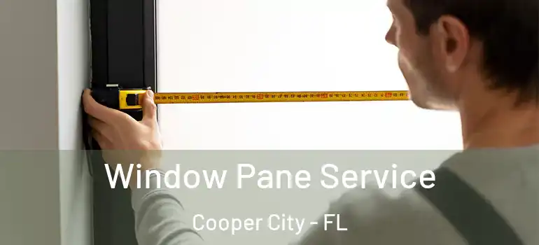  Window Pane Service Cooper City - FL