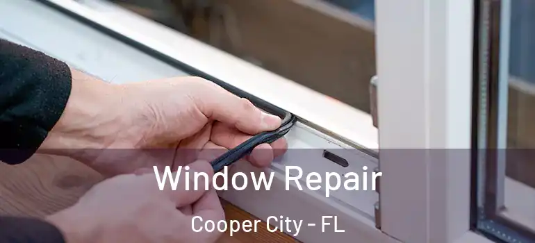  Window Repair Cooper City - FL