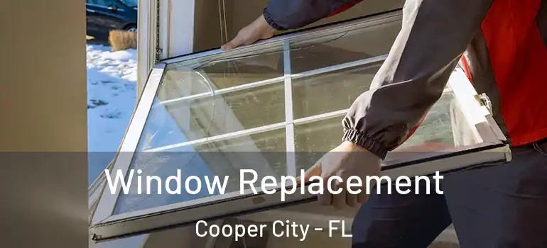  Window Replacement Cooper City - FL