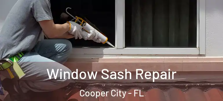  Window Sash Repair Cooper City - FL