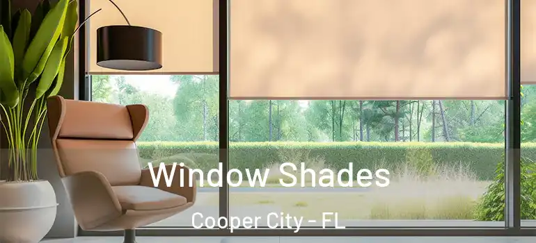  Window Shades Cooper City - FL