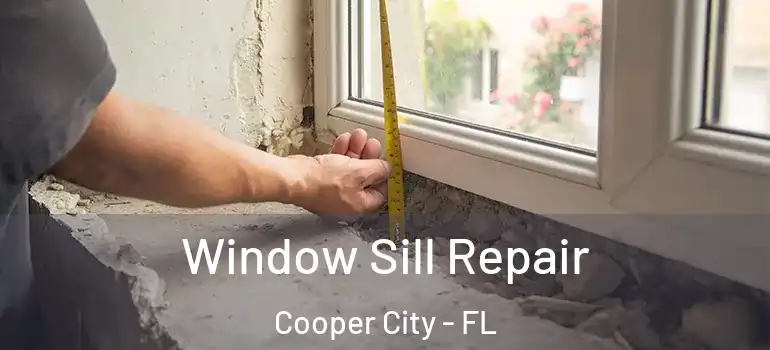  Window Sill Repair Cooper City - FL