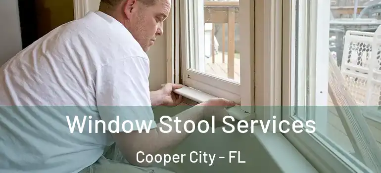  Window Stool Services Cooper City - FL