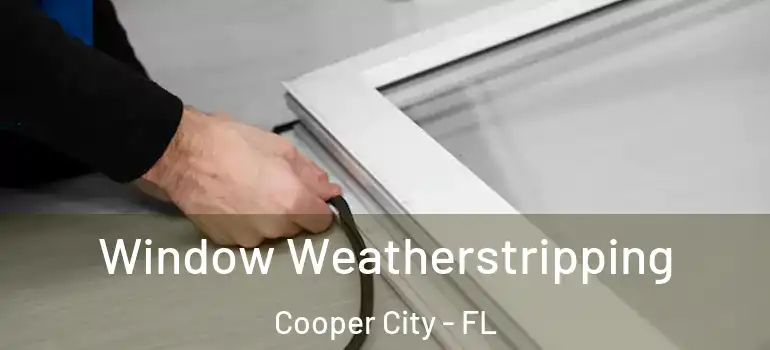  Window Weatherstripping Cooper City - FL