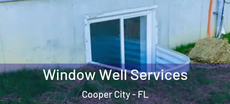  Window Well Services Cooper City - FL